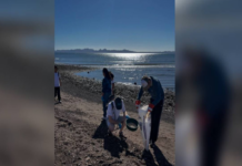 Associations reject cruise ships in the Port of Loreto, Baja California Sur; “it is a threat to blue whales,” they say.