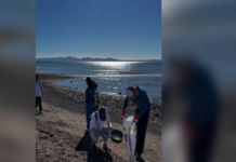 Associations reject cruise ships in the Port of Loreto, Baja California Sur; “it is a threat to blue whales,” they say.