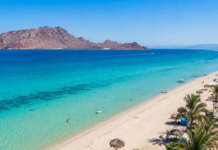 Summer vacation: the beach with the whitest sand and gentle waves in Baja California