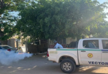 From July 6 to 10, neighborhoods in Cabo San Lucas will be fumigated: these are the areas
