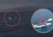 Minor Rescued After Drifting Out to Sea on a Paddle Board in Baja California Sur