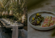 The 22 restaurants in Baja California Sur that conquered the Michelin Guide 2026