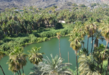 Young people drive environmental conservation tourism projects on the coast of Baja California Sur.